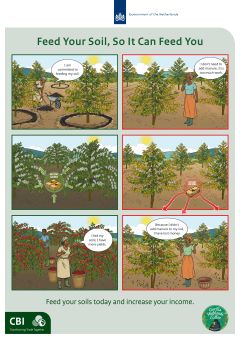 Poster: Feed Your Soil, So It Can Feed You