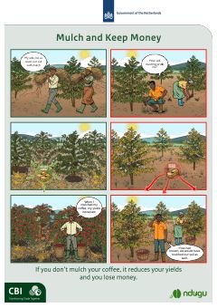 Poster: Mulch and Keep Money